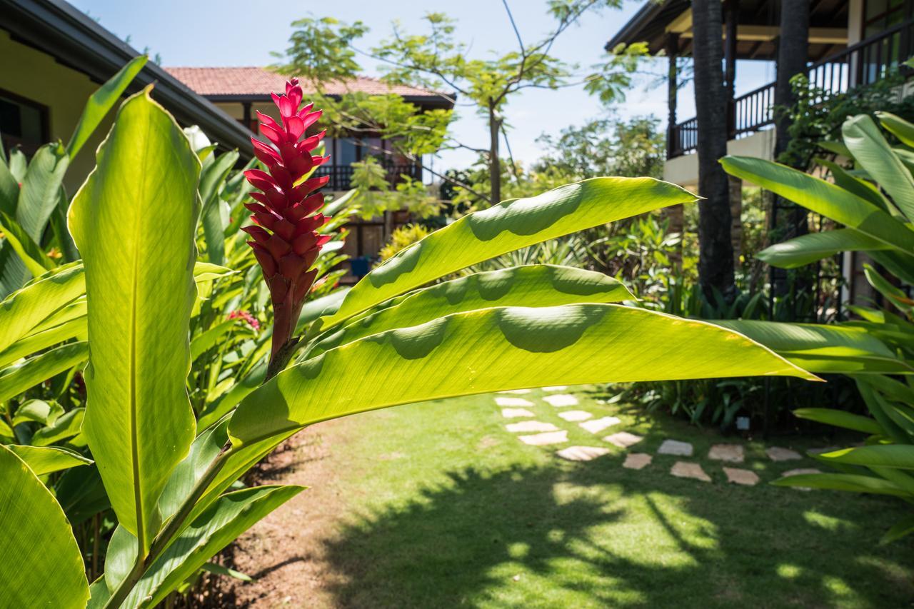 Dream Garden Hotel อารูกัมเบย์ ภายนอก รูปภาพ